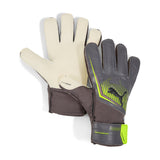 PUMA Ultra Play RC Men Goalkeeper Gloves Silver 041952 07