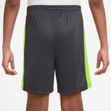 Nike Dri-Fit Academy 23 Junior Football Short Grey